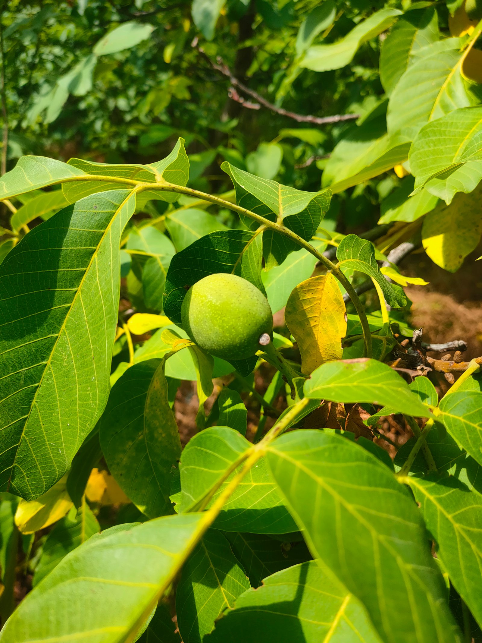 Zemědělská usedlost – fotografie 11